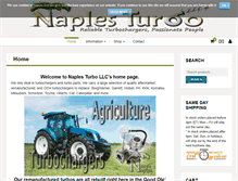 Tablet Screenshot of naplesturbo.com